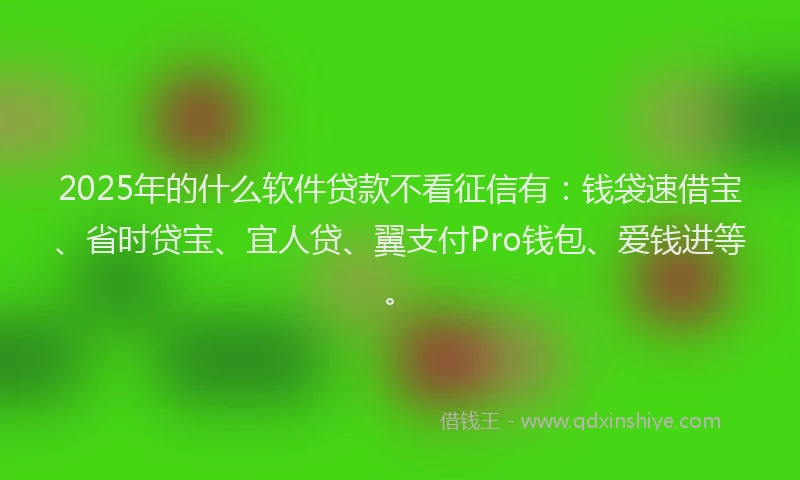 2025年的什么软件贷款不看征信有：钱袋速借宝、省时贷宝、宜人贷、翼支付Pro钱包、爱钱进等。