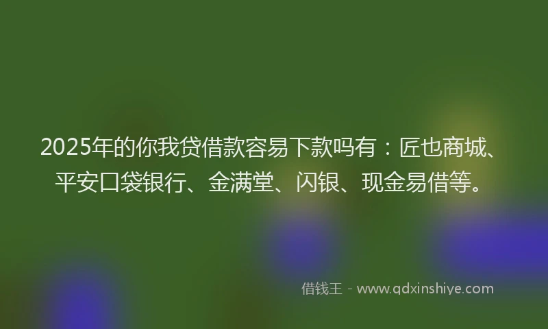 2025年的你我贷借款容易下款吗有：匠也商城、平安口袋银行、金满堂、闪银、现金易借等。