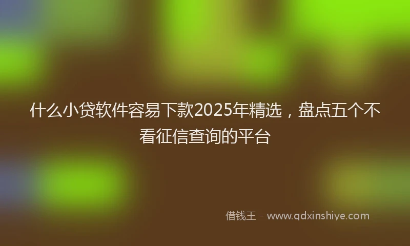 什么小贷软件容易下款2025年精选，盘点五个不看征信查询的平台