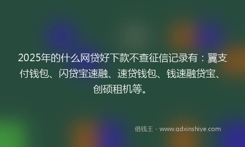 2025年的什么网贷好下款不查征信记录有：翼支付钱包、闪贷宝速融、速贷钱包、钱速融贷宝、创硕租机等。