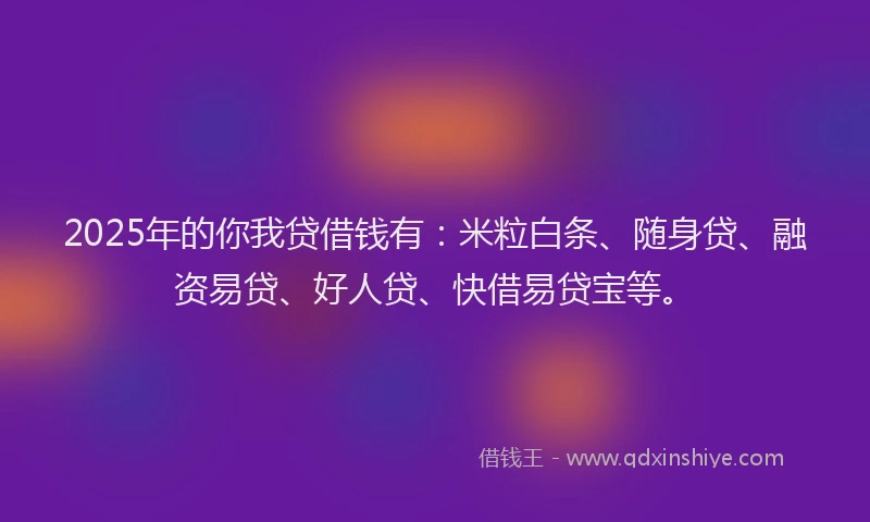 2025年的你我贷借钱有：米粒白条、随身贷、融资易贷、好人贷、快借易贷宝等。