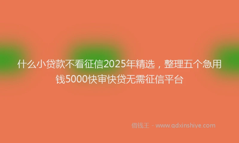 什么小贷款不看征信2025年精选，整理五个急用钱5000快审快贷无需征信平台