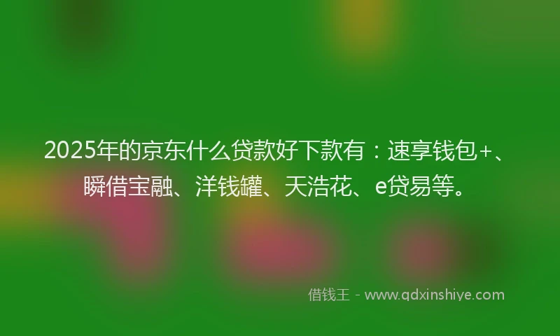 2025年的京东什么贷款好下款有：速享钱包+、瞬借宝融、洋钱罐、天浩花、e贷易等。