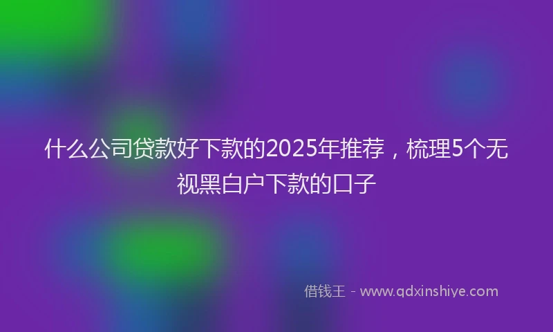 什么公司贷款好下款的2025年推荐,梳理5个无视黑白户下款的口子