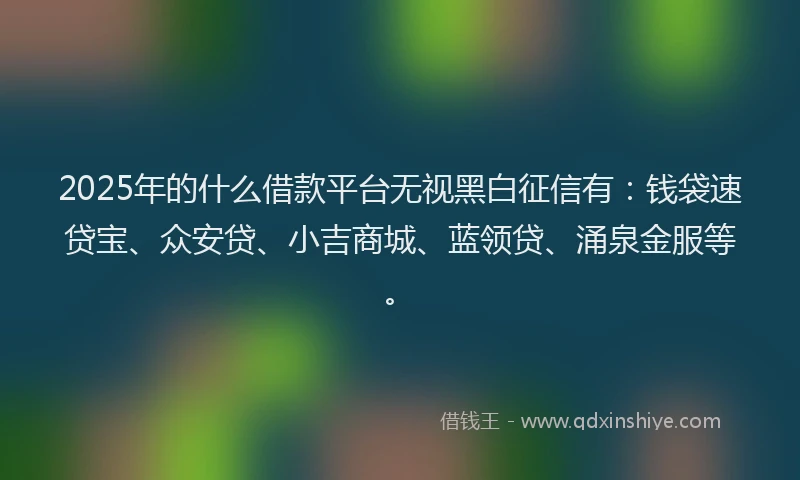 2025年的什么借款平台无视黑白征信有：钱袋速贷宝、众安贷、小吉商城、蓝领贷、涌泉金服等。