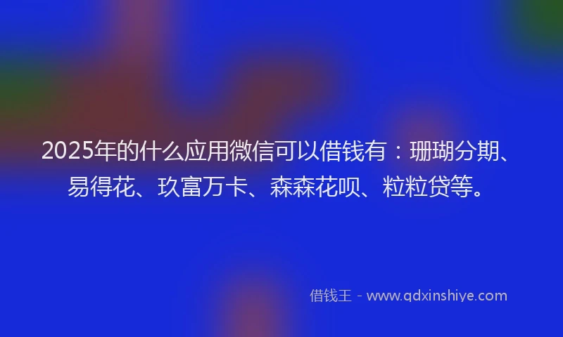 2025年的什么应用微信可以借钱有：珊瑚分期、易得花、玖富万卡、森森花呗、粒粒贷等。