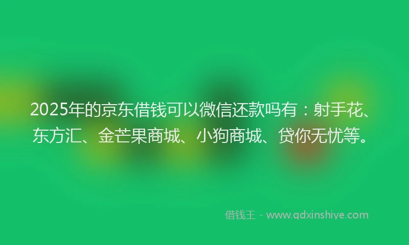 2025年的京东借钱可以微信还款吗有：射手花、东方汇、金芒果商城、小狗商城、贷你无忧等。