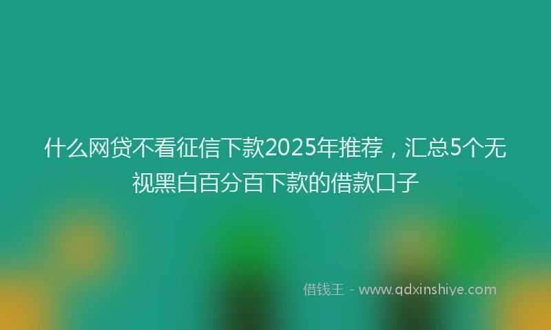 什么网贷不看征信下款2025年推荐，汇总5个无视黑白百分百下款的借款口子