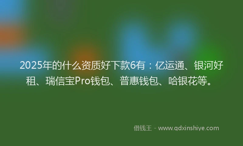 2025年的什么资质好下款6有：亿运通、银河好租、瑞信宝Pro钱包、普惠钱包、哈银花等。