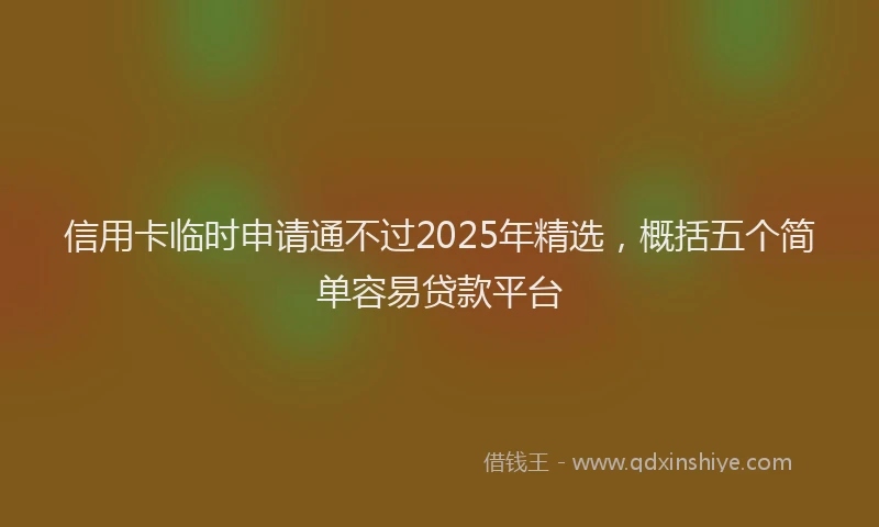 信用卡临时申请通不过2025年精选，概括五个简单容易贷款平台