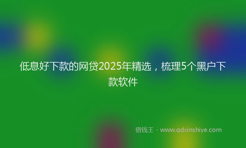 低息好下款的网贷2025年精选，梳理5个黑户下款软件