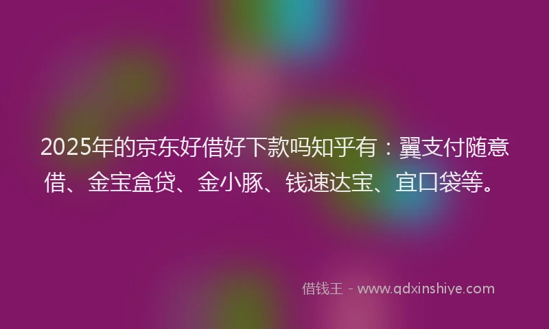 2025年的京东好借好下款吗知乎有：翼支付随意借、金宝盒贷、金小豚、钱速达宝、宜口袋等。