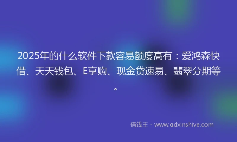 2025年的什么软件下款容易额度高有：爱鸿森快借、天天钱包、E享购、现金贷速易、翡翠分期等。
