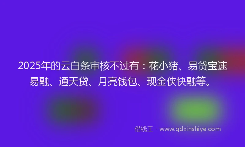 2025年的云白条审核不过有：花小猪、易贷宝速易融、通天贷、月亮钱包、现金侠快融等。