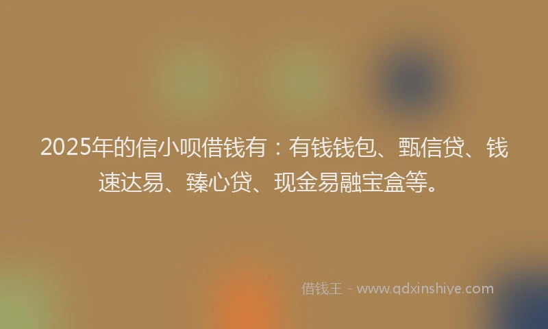 2025年的信小呗借钱有：有钱钱包、甄信贷、钱速达易、臻心贷、现金易融宝盒等。