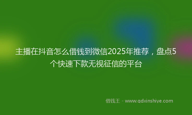 主播在抖音怎么借钱到微信2025年推荐，盘点5个快速下款无视征信的平台