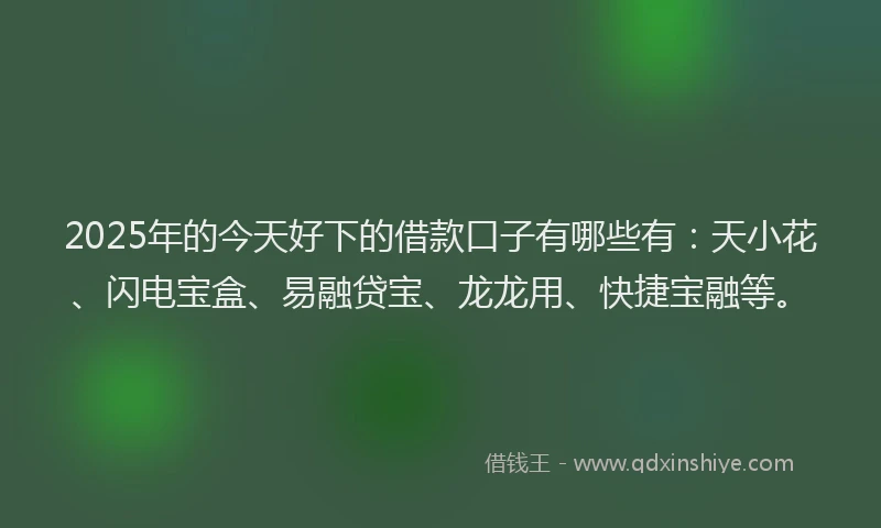 2025年的今天好下的借款口子有哪些有：天小花、闪电宝盒、易融贷宝、龙龙用、快捷宝融等。