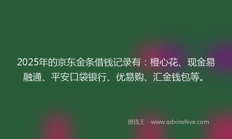 2025年的京东金条借钱记录有：橙心花、现金易融通、平安口袋银行、优易购、汇金钱包等。