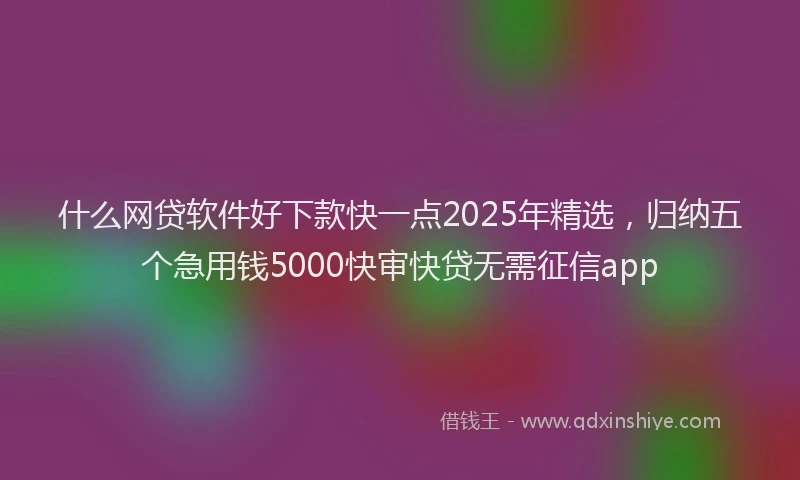 什么网贷软件好下款快一点2025年精选，归纳五个急用钱5000快审快贷无需征信app