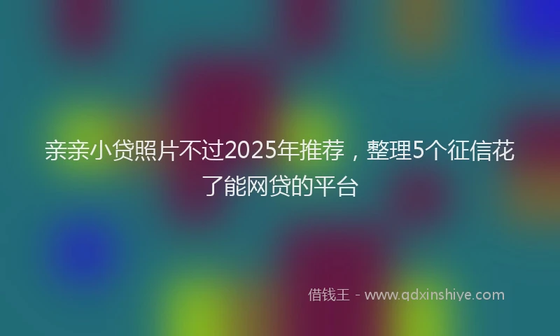 亲亲小贷照片不过2025年推荐，整理5个征信花了能网贷的平台