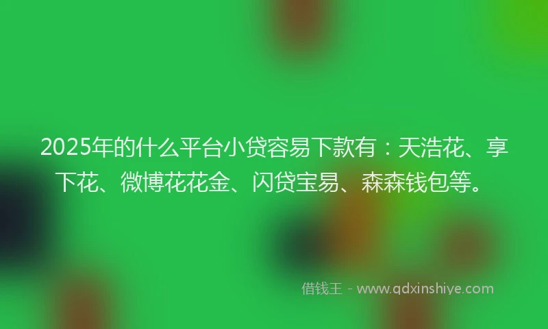 2025年的什么平台小贷容易下款有：天浩花、享下花、微博花花金、闪贷宝易、森森钱包等。