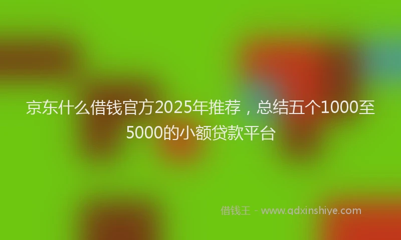 京东什么借钱官方2025年推荐，总结五个1000至5000的小额贷款平台
