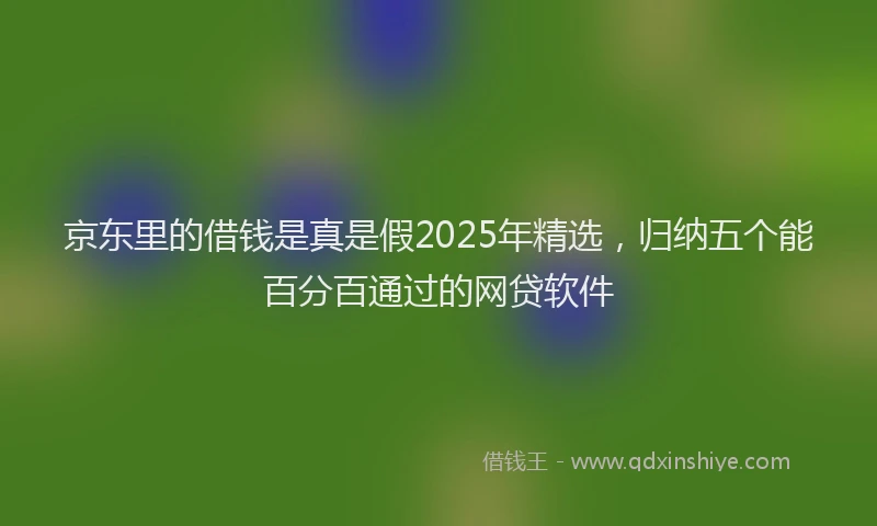 京东里的借钱是真是假2025年精选,归纳五个能百分百通过的网贷软件