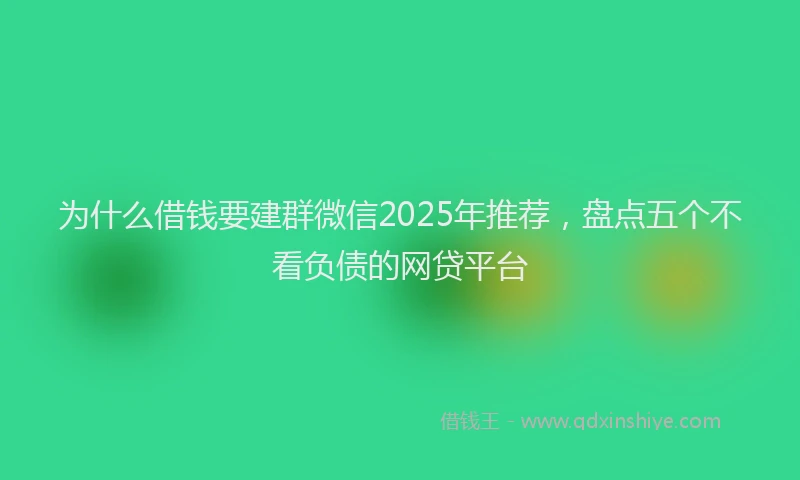 为什么借钱要建群微信2025年推荐，盘点五个不看负债的网贷平台