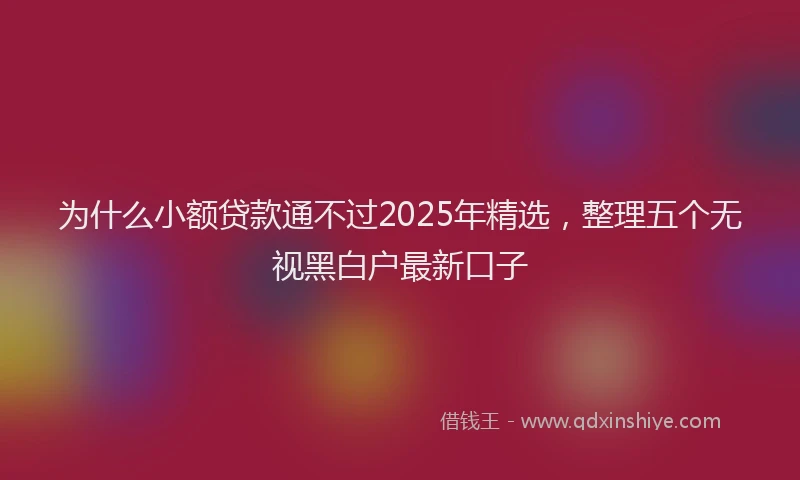 为什么小额贷款通不过2025年精选，整理五个无视黑白户最新口子