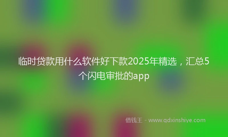 临时贷款用什么软件好下款2025年精选，汇总5个闪电审批的app