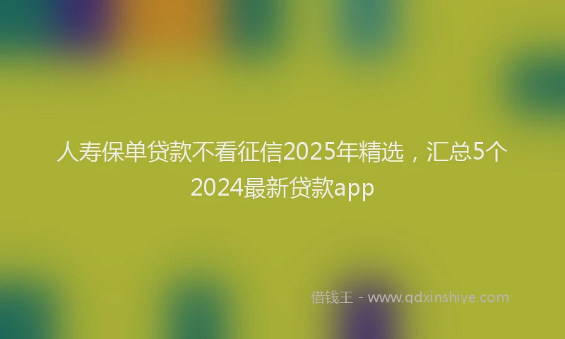 人寿保单贷款不看征信2025年精选，汇总5个2024最新贷款app