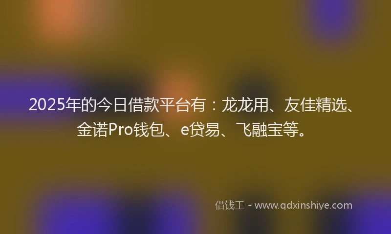 2025年的今日借款平台有：龙龙用、友佳精选、金诺Pro钱包、e贷易、飞融宝等。