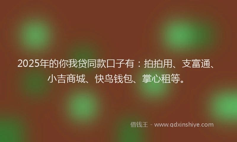 2025年的你我贷同款口子有：拍拍用、支富通、小吉商城、快鸟钱包、掌心租等。