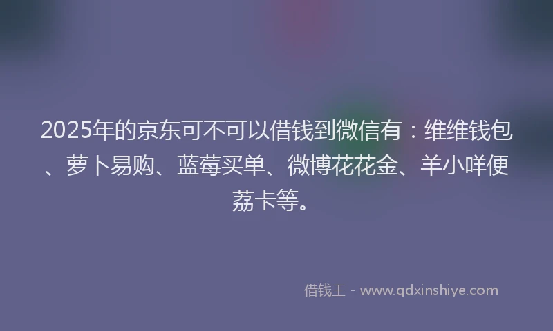 2025年的京东可不可以借钱到微信有：维维钱包、萝卜易购、蓝莓买单、微博花花金、羊小咩便荔卡等。