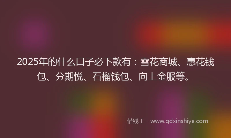 2025年的什么口子必下款有：雪花商城、惠花钱包、分期悦、石榴钱包、向上金服等。