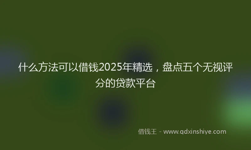 什么方法可以借钱2025年精选，盘点五个无视评分的贷款平台