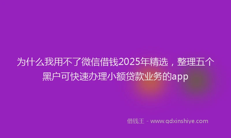 为什么我用不了微信借钱2025年精选，整理五个黑户可快速办理小额贷款业务的app