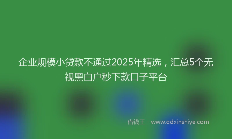 企业规模小贷款不通过2025年精选，汇总5个无视黑白户秒下款口子平台