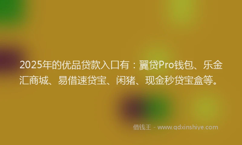 2025年的优品贷款入口有：翼贷Pro钱包、乐金汇商城、易借速贷宝、闲猪、现金秒贷宝盒等。