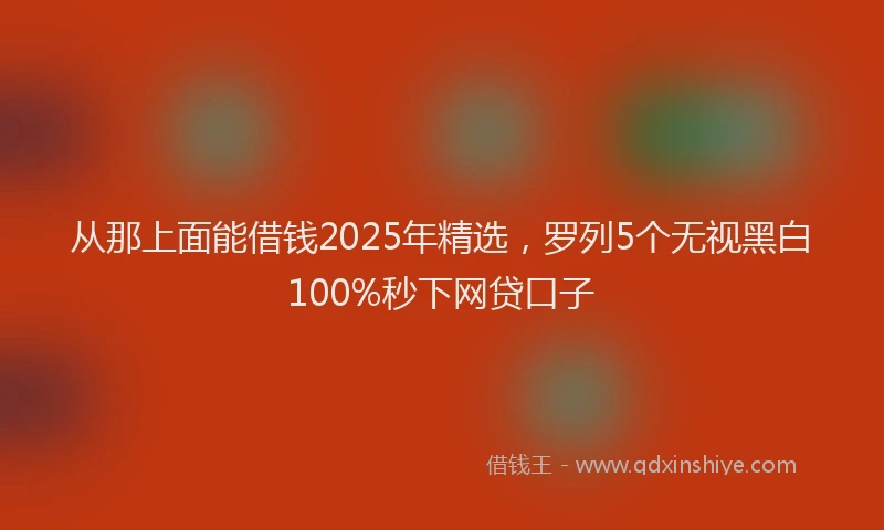从那上面能借钱2025年精选，罗列5个无视黑白100%秒下网贷口子