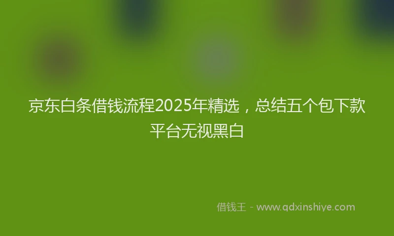 京东白条借钱流程2025年精选，总结五个包下款平台无视黑白