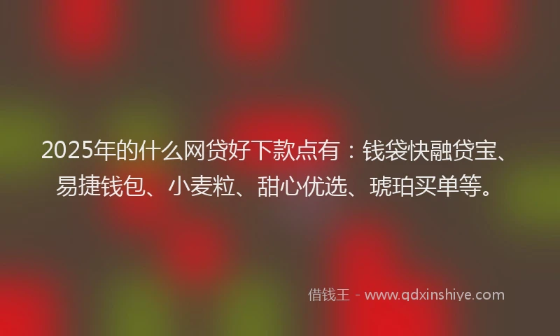 2025年的什么网贷好下款点有：钱袋快融贷宝、易捷钱包、小麦粒、甜心优选、琥珀买单等。