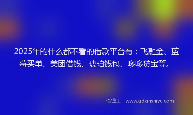 2025年的什么都不看的借款平台有：飞融金、蓝莓买单、美团借钱、琥珀钱包、哆哆贷宝等。