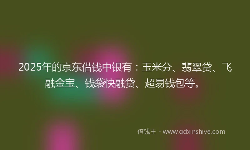 2025年的京东借钱中银有：玉米分、翡翠贷、飞融金宝、钱袋快融贷、超易钱包等。