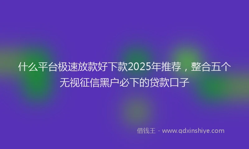 什么平台极速放款好下款2025年推荐，整合五个无视征信黑户必下的贷款口子