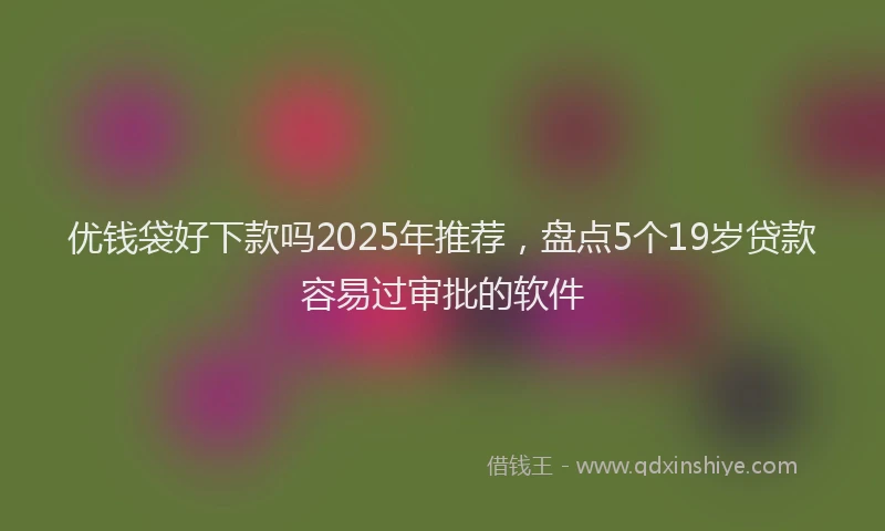 优钱袋好下款吗2025年推荐，盘点5个19岁贷款容易过审批的软件