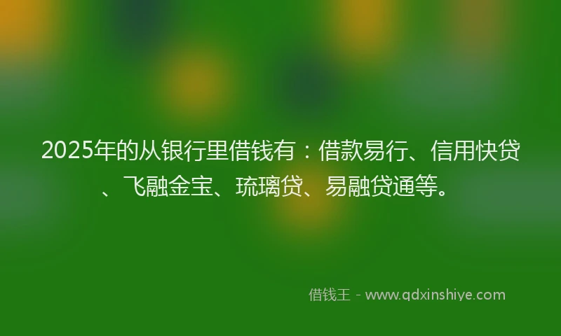 2025年的从银行里借钱有：借款易行、信用快贷、飞融金宝、琉璃贷、易融贷通等。