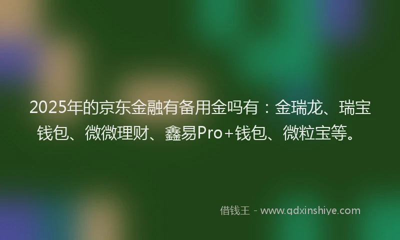 2025年的京东金融有备用金吗有：金瑞龙、瑞宝钱包、微微理财、鑫易Pro+钱包、微粒宝等。