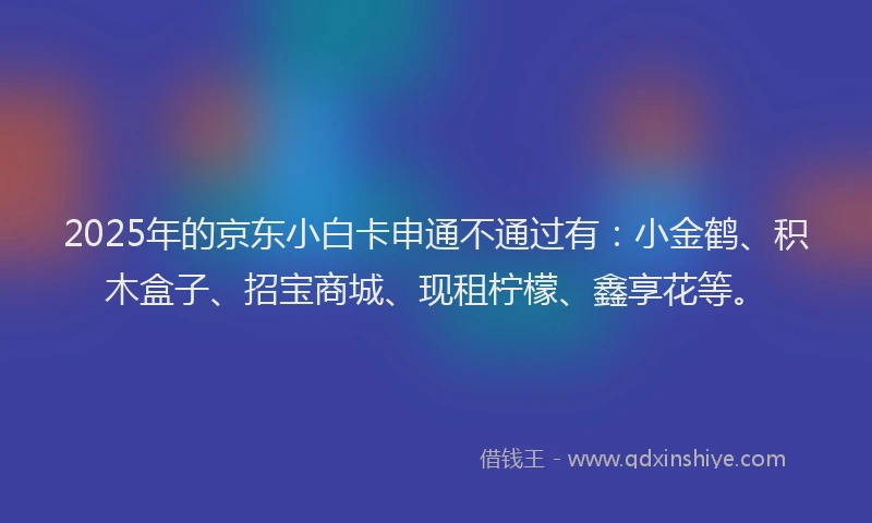 2025年的京东小白卡申通不通过有：小金鹤、积木盒子、招宝商城、现租柠檬、鑫享花等。