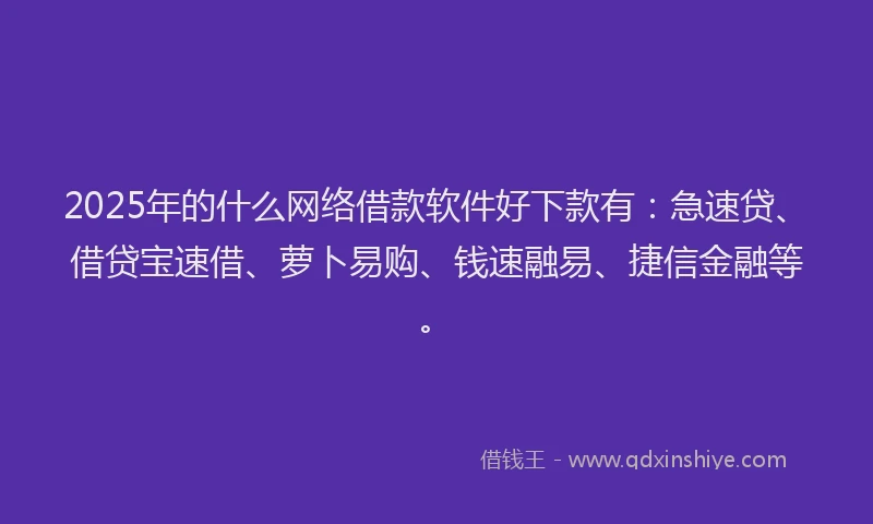 2025年的什么网络借款软件好下款有：急速贷、借贷宝速借、萝卜易购、钱速融易、捷信金融等。